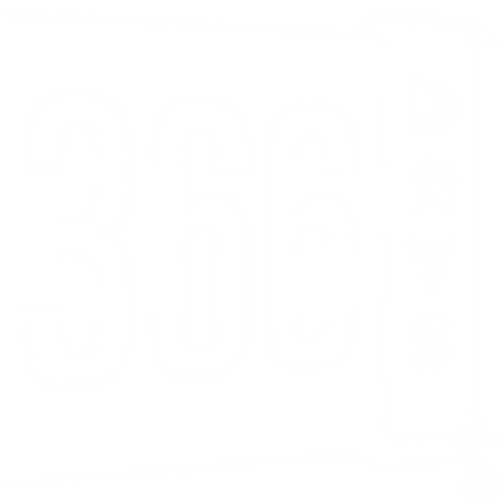 366 Days